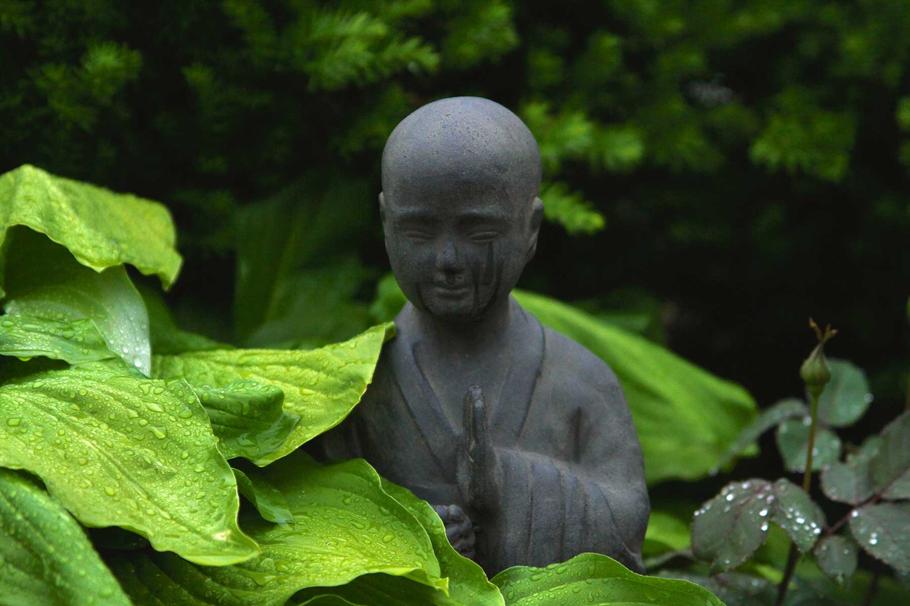 Radio Lessons #66 – Zen Buddhism